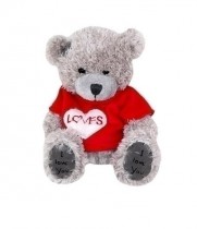 Teddy bear \